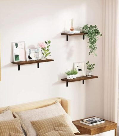 Shelves for Living Room